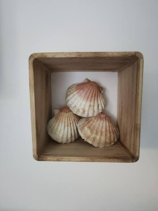 Ocalme, Ideal A 2, Jardin, Plage Bréhal Exteriör bild